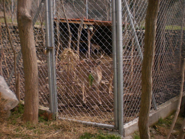 Ekd1_0010